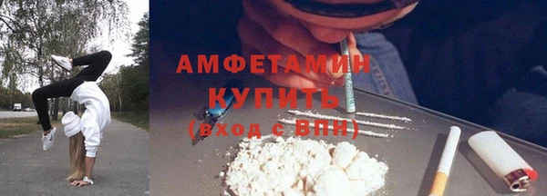 индика Верхний Тагил