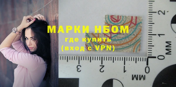 стаф Волосово
