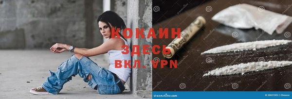 дурь Киреевск