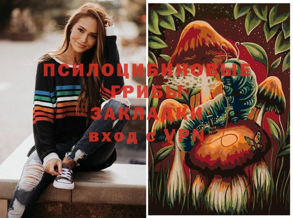 стаф Волосово