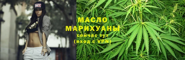 индика Верхний Тагил