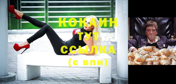 стаф Волосово